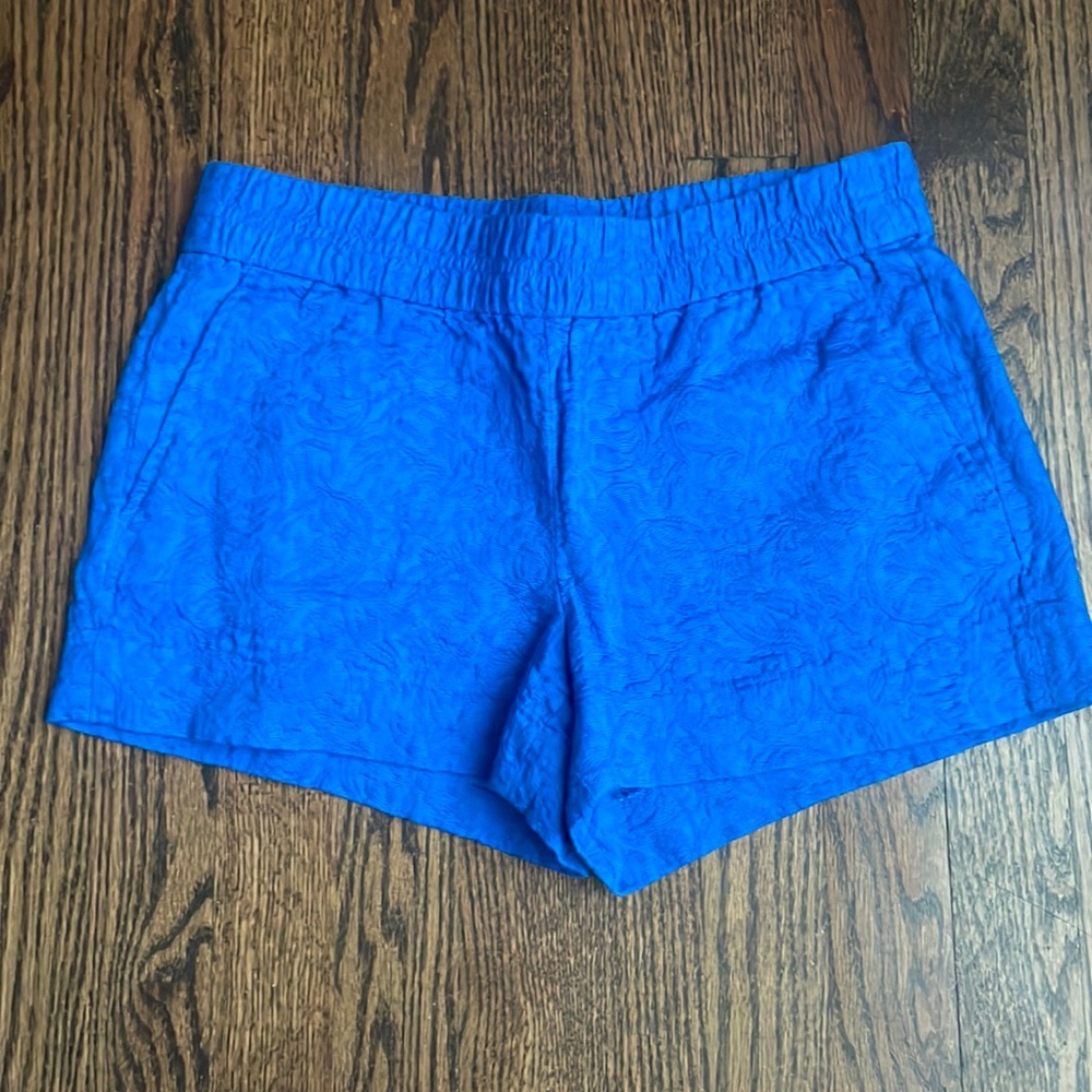 J Crew Elastic Band Shorts